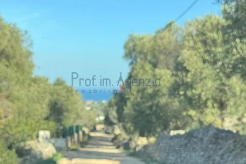 Landejendom i Carovigno, Brindisi, Carovigno - € 54.000 | Ref: 122834 - foto 4